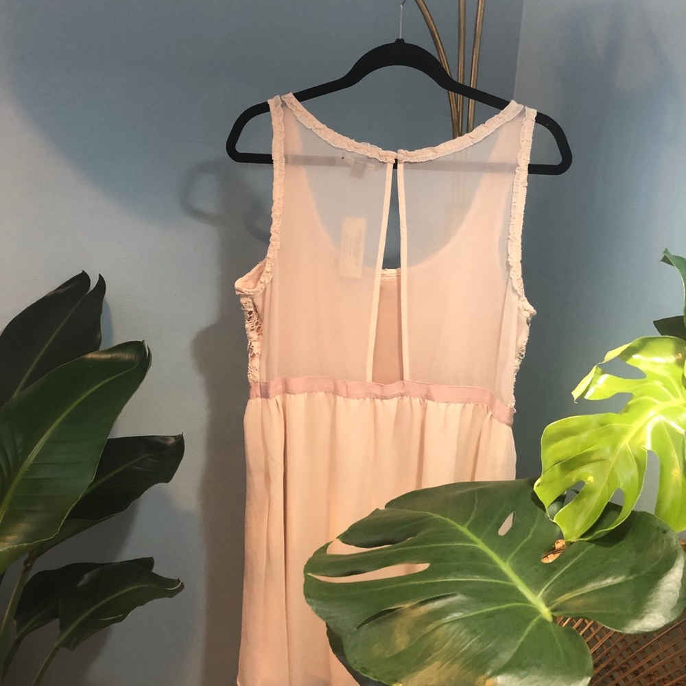 Blush floral crochet detail cut-out dress - Picture 3 of 9